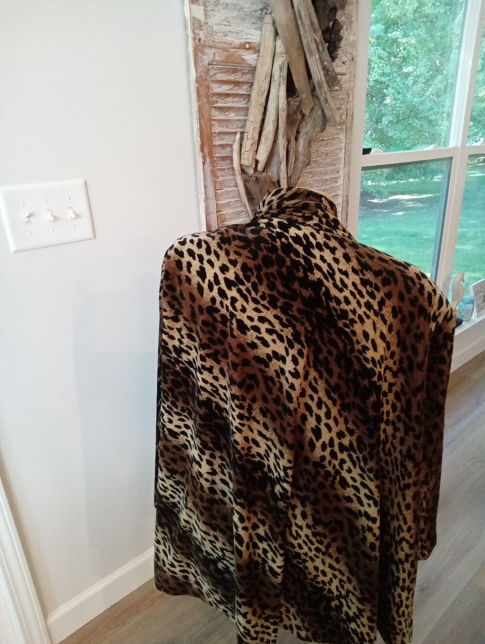 L - Picture 12 of 13